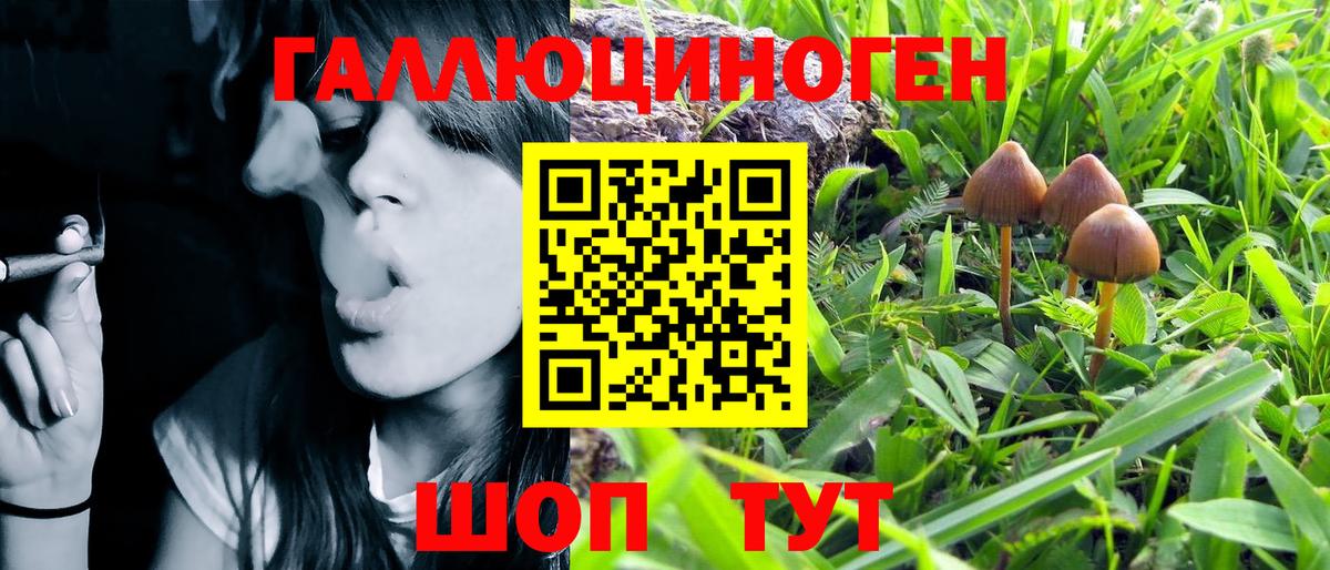 Галлюциногенные грибы MAGIC MUSHROOMS  Вход с VPN  Галлюциногенные грибы Magic Shrooms  Сертолово 